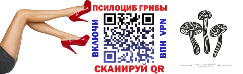 KRAKEN ONION  Слюдянка  Галлюциногенные грибы ЛСД 